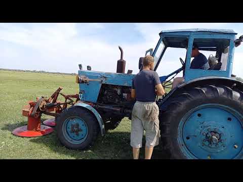 Видео: Сенокос 2021. Травостой очень плох. Инструктаж помощника и старт покоса проверенным тандемом косилок