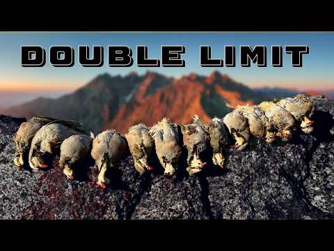 Видео: Лезвие бритвы - Охота на чукара в Неваде