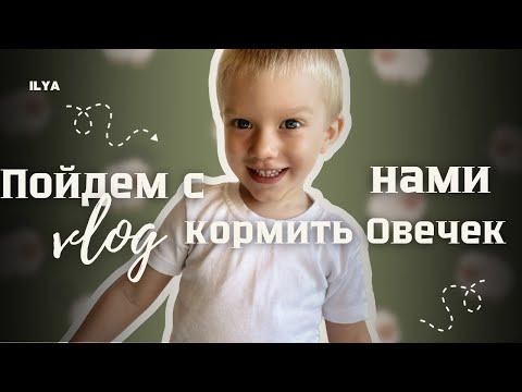 Видео: Включайте вместе с детками, им понравится🐑