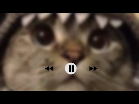 Видео: † плейлист популярных треков  2025 †