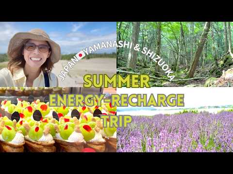 Видео: Лето 2025 года в Японии🇯🇵 Туристические места с видом на гору Фудзи. Сидзуока, Яманаси
