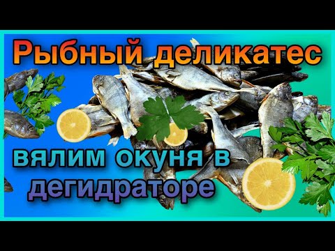 Видео: Рыбный деликатес.Как завялить окуня в дегидраторе