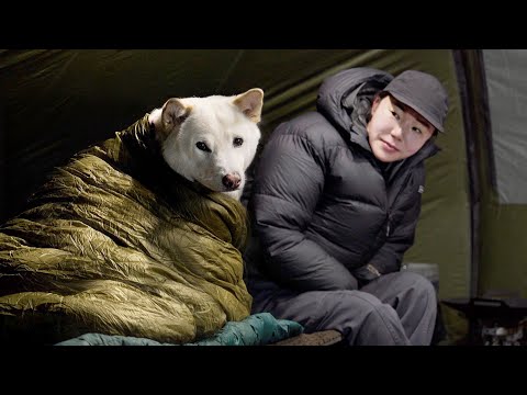 Видео: Ночь в кемпинге с собакой в переменчивую зимнюю погоду | Снег, ясный и сильный ветер.