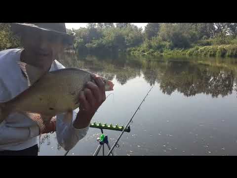 Видео: пару часиков до жары на р  Клязьма