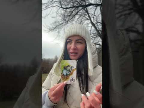 Видео: ПОСЛАНИЕ ВАМ🕊️ОТ ВАШЕГО РОДА🌳 #таро #tarot #деньги #любовь #предсказание #психология #эзотерика
