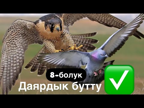 Видео: Ителгини колго уйротуу 8-болук (Биз даяр) кийнки чыгарылыш Охота✅