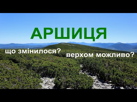 Видео: Аршиця. Чи можливо літом пройти верхом? Серйозні зміни за останні 2 роки. Нетуристичні нетрі Карпат