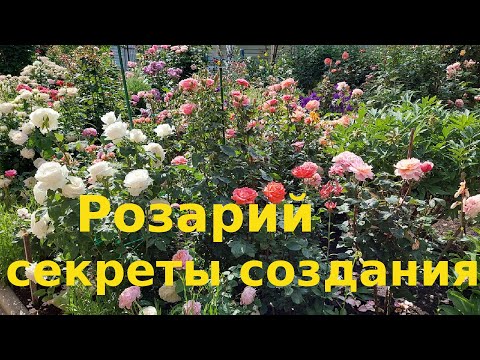 Видео: Как создать красивый розарий