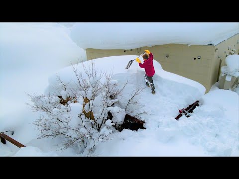 Видео: Садовый сарай засыпан снегом.