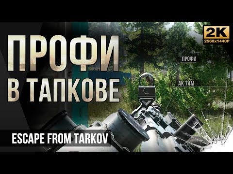 Видео: Профи против новичка в Тапкове • №15 Escape from Tarkov PvP • 1440p60fps