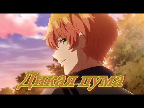 Видео: [ AMV] Аниме клип "Дикая пума"\Номер 24