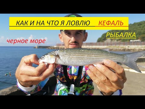 Видео: Ловля кефали с берега. Морская рыбалка
