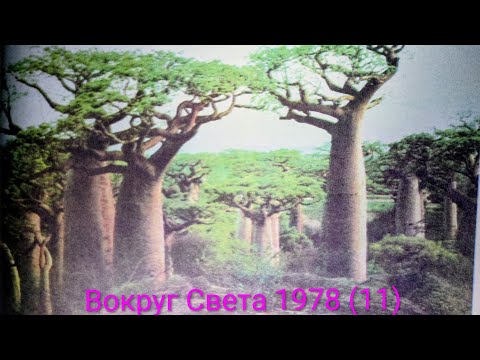 Видео: Журнал Вокруг Света 1978 выпуск 11. Баобаб- мощное дерево Африки.