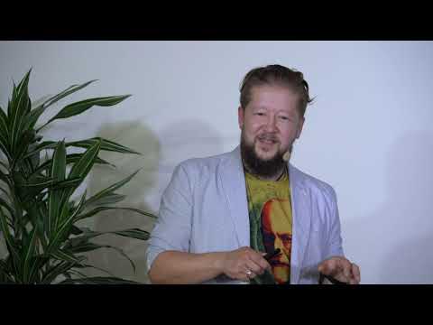 Видео: TEDx  Множественная личность | Максим Пестов