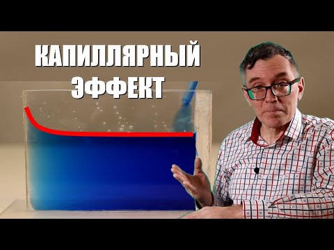 Видео: Капиллярный эффект