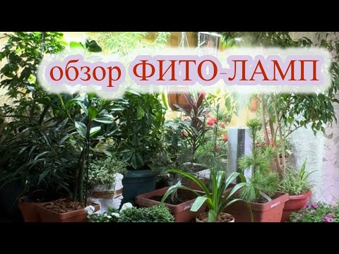 Видео: ТЕПЕРЬ СВЕТЛО, КАК ДНЁМ |Нашёл недорогую и супер мощную фитолампу.