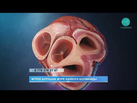 Видео: Шипа | Жүрек ауруына жүре қарауға болмайды
