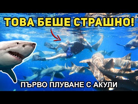 Видео: ПЛУВАХМЕ С АКУЛИ 🦈 Последен влог от Малдивите