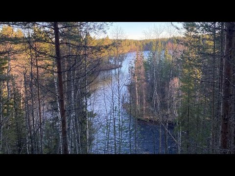 Видео: Северная Карелия. Рыбалка. Ноябрь