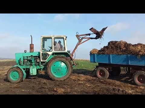 Видео: Погрузка навоза самодельным погрузчиком на ЮМЗ