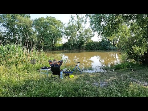 Видео: Флэт - метод  пикер.  Охота на дикого карася.