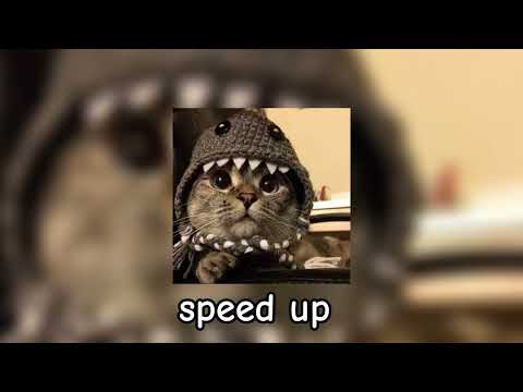 Видео: Александр Рыбак - Котик speed up