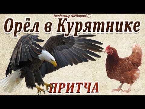 Видео: Орёл в Курятнике! Мудрая притча о предназначении человека и его самооценке / Читает Владимир Фёдоров