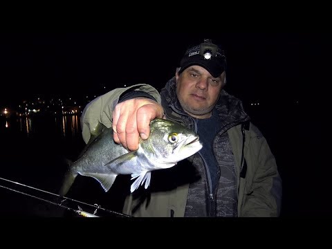 Видео: Кеят на леферите - част 1 / The blue-fish pier - part 1