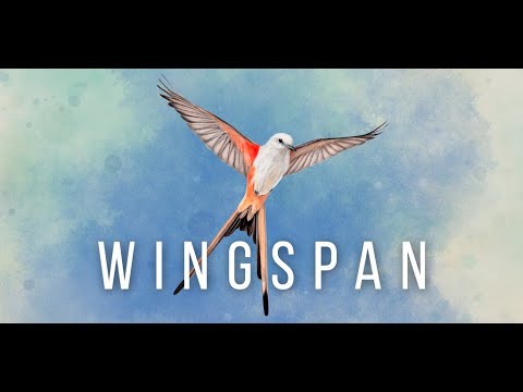 Видео: Wingspan - Эксперт по насекомоядным
