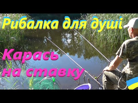 Видео: Карась на ставку # Рибалка для душі #РибачуЯкУмію