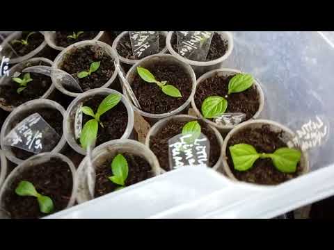 Видео: 19 февраля 2023 г.