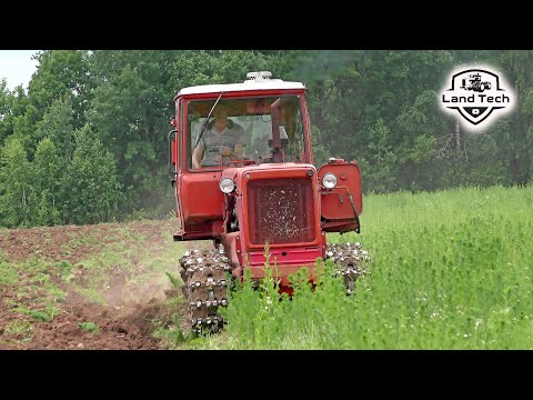 Видео: Легенда советского тракторостроения - гусеничный трактор ДТ-75 пашет заросшее поле