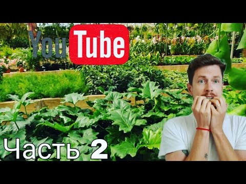 Видео: Мега обзор растений в садовом центре El Godoy, часть вторая. Гран Канария, май 2021.