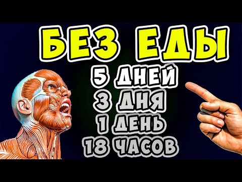 Видео: 5 Дней БЕЗ ЕДЫ! Вот что ТВОРИТСЯ с Телом уже через 18 часов...