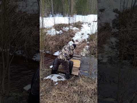 Видео: трицикл из мотоблока на жигулёвских колёсах