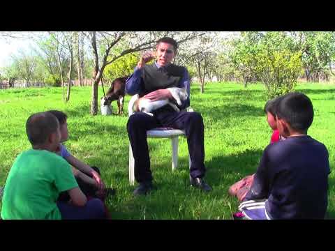 Видео: Қисса. Мысықтың пайда болуы