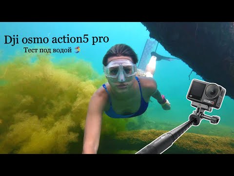 Видео: DJI action 5 pro тест под водой