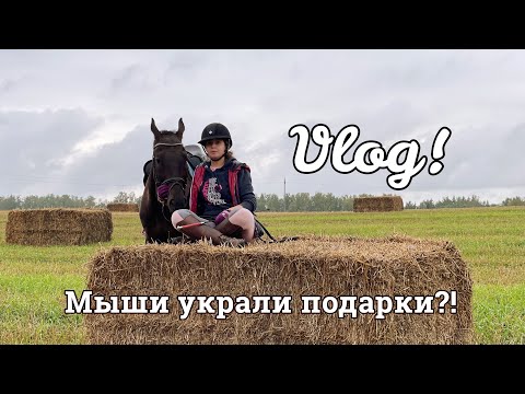 Видео: Vlog! День рождения на конюшне!