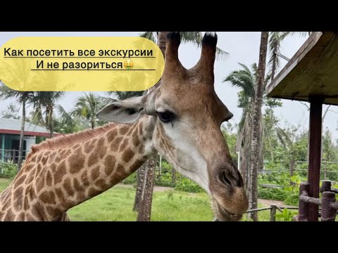 Видео: Хайнань. Санья. Как сэкономить на экскурсиях🤑💰