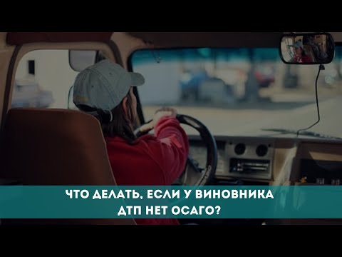 Видео: Что делать, если у виновника ДТП нет ОСАГО?