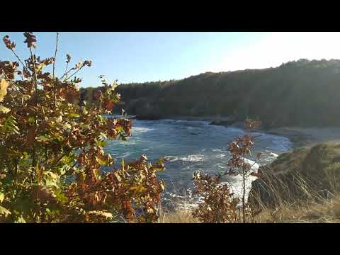 Видео: Болгария. Побережье между Синеморецем и Резово