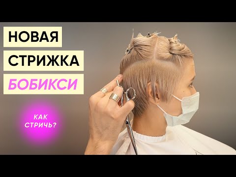 Видео: Как стричь пикси-боб (бобикси) с Кириллом Брюховецким