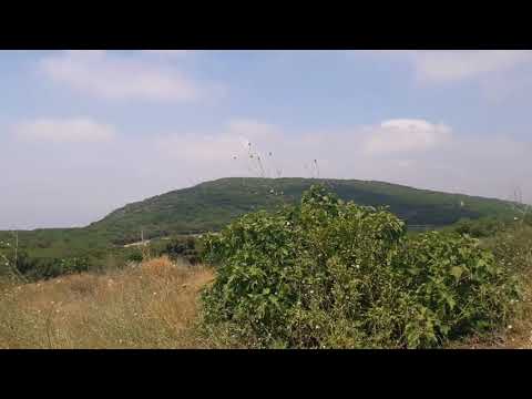 Видео: Русскоязычные мужчины в Израиле-тупик?