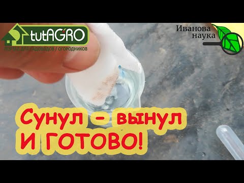 Видео: 5 СЕКУНД - И ГОТОВО! 4 СПОСОБА БЫСТРОЙ и ДЕШЕВОЙ ПОДГОТОВКИ СЕМЯН К ПОСЕВУ. Доступно абсолютно всем!