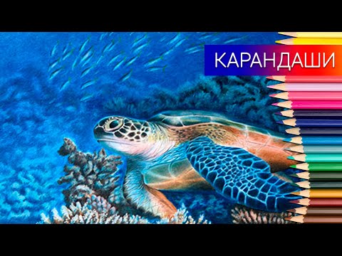 Видео: Как нарисовать морскую черепаху ✎  рисунок цветными карандашами ✎ таймлапс