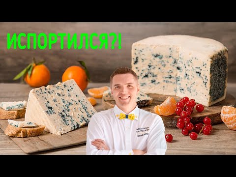 Видео: 🧀Сыр с плесенью вредно? Или есть польза?🧀