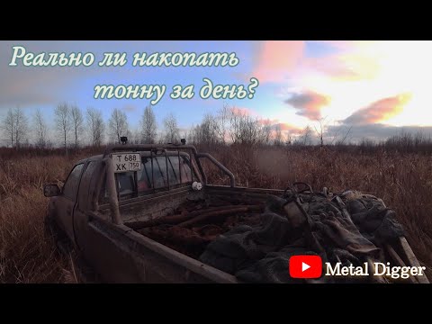 Видео: Траковое поле! С весны не было таких мест с кучей траков