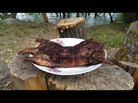 Видео: НУТРИЯ на МАНГАЛЕ. NUTRIA. Выпуск №366