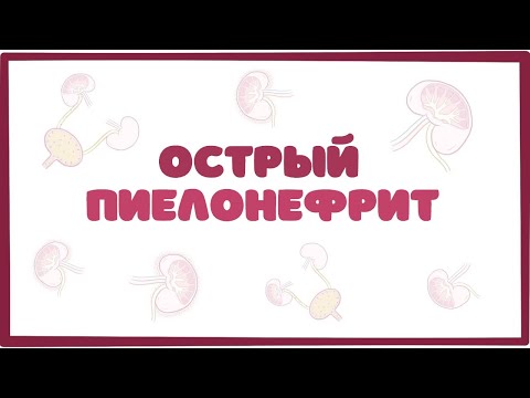 Видео: Острый пиелонефрит - причины, симптомы, терапия (лекция)