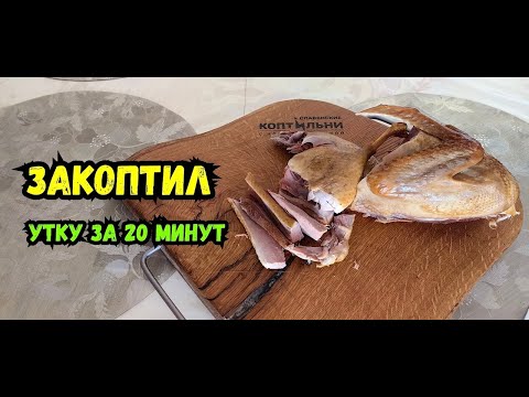 Видео: Утка Холодного КОПЧЕНИЯ! Закоптил за 20 минут! Электростатическая коптильня!